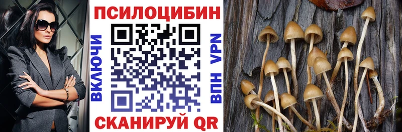 площадка как зайти Калтан Галлюциногенные грибы мицелий
